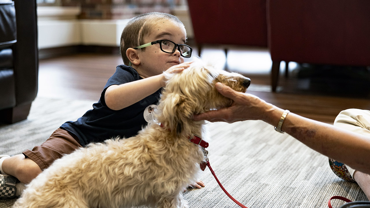 child petting dog